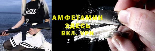 шишки Пестово