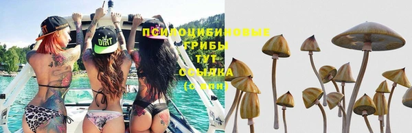 СК Абдулино