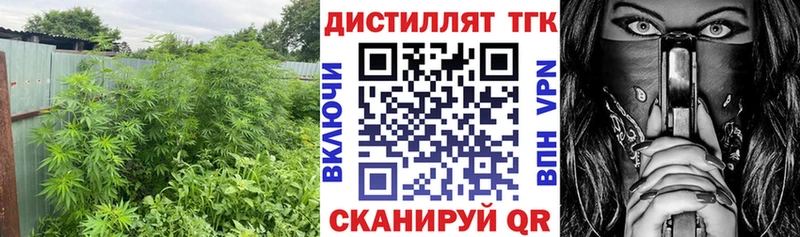 ТГК Wax  Боровичи 