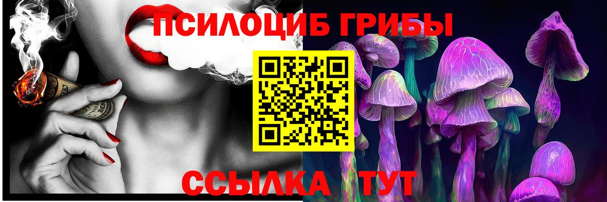 Галлюциногенные грибы прущие грибы  Вход с VPN  Боровичи  Псилоцибиновые грибы мицелий 